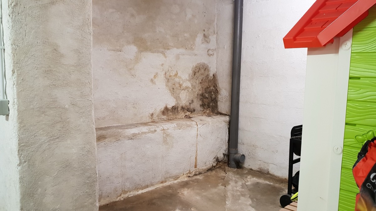 Infiltrations d'eau - Expertise humidité à Le Havre